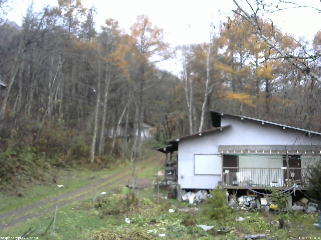 長野県菅平高原 ゆたか山荘 西側(坂上) 2025/11/10 11:45