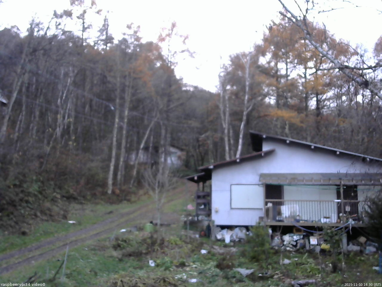 長野県菅平高原 ゆたか山荘 西側(坂上) 2025/11/10 16:30