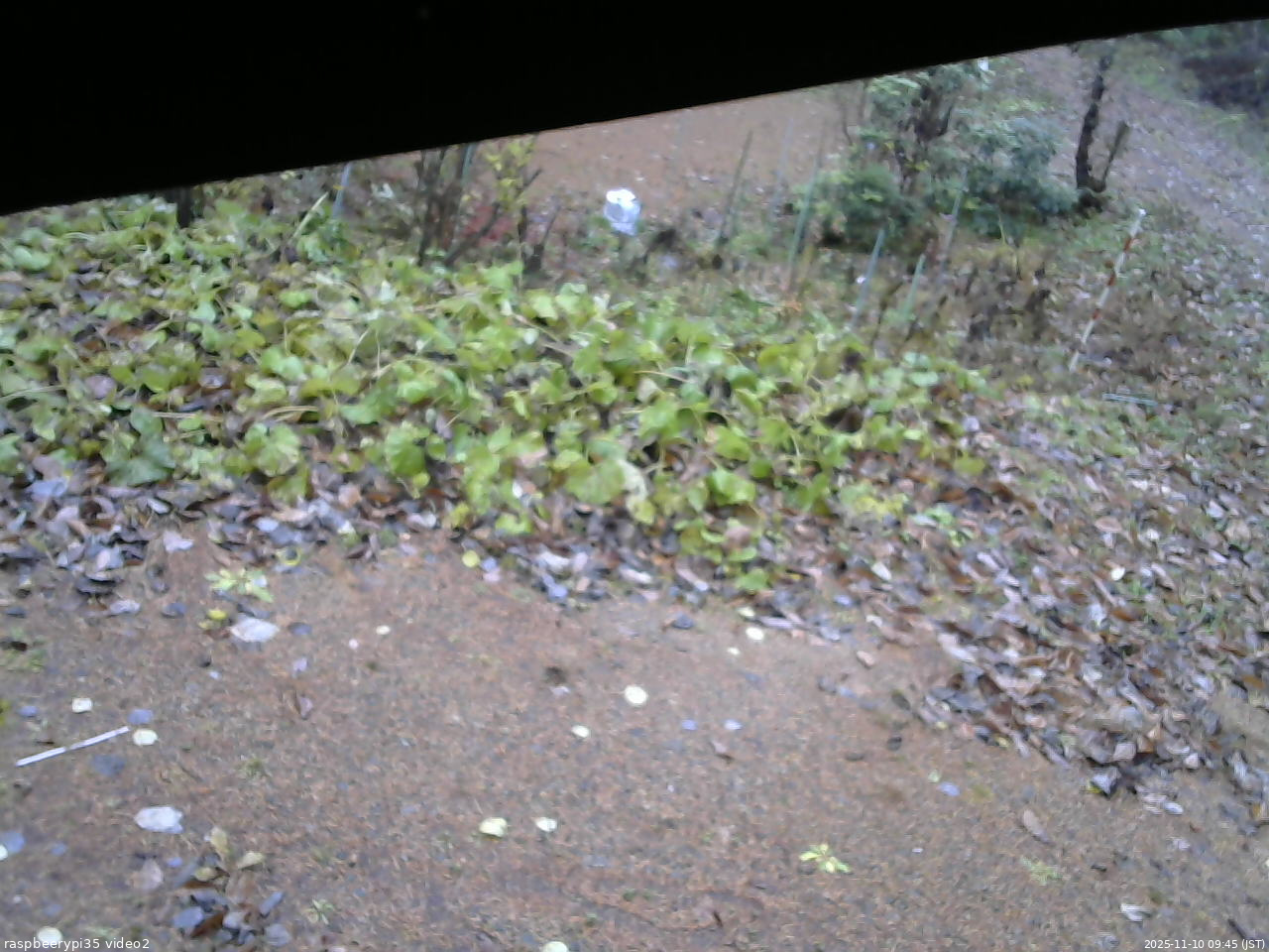 長野県菅平高原 ゆたか山荘 駐車場 2025/11/10 09:45