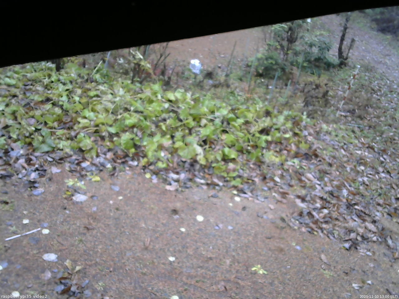 長野県菅平高原 ゆたか山荘 駐車場 2025/11/10 13:00