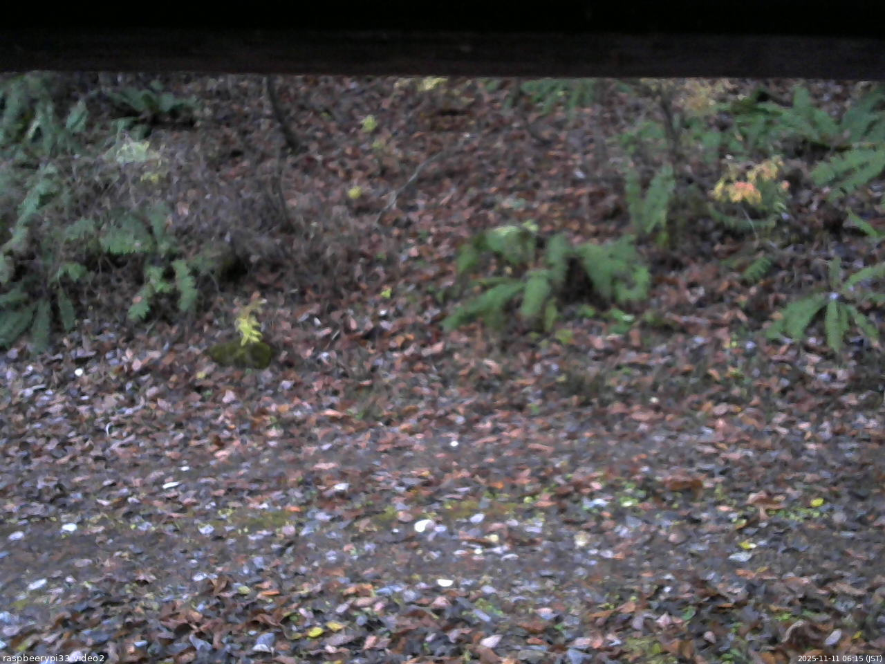 長野県菅平高原 ゆたか山荘 南側 2025/11/11 06:15