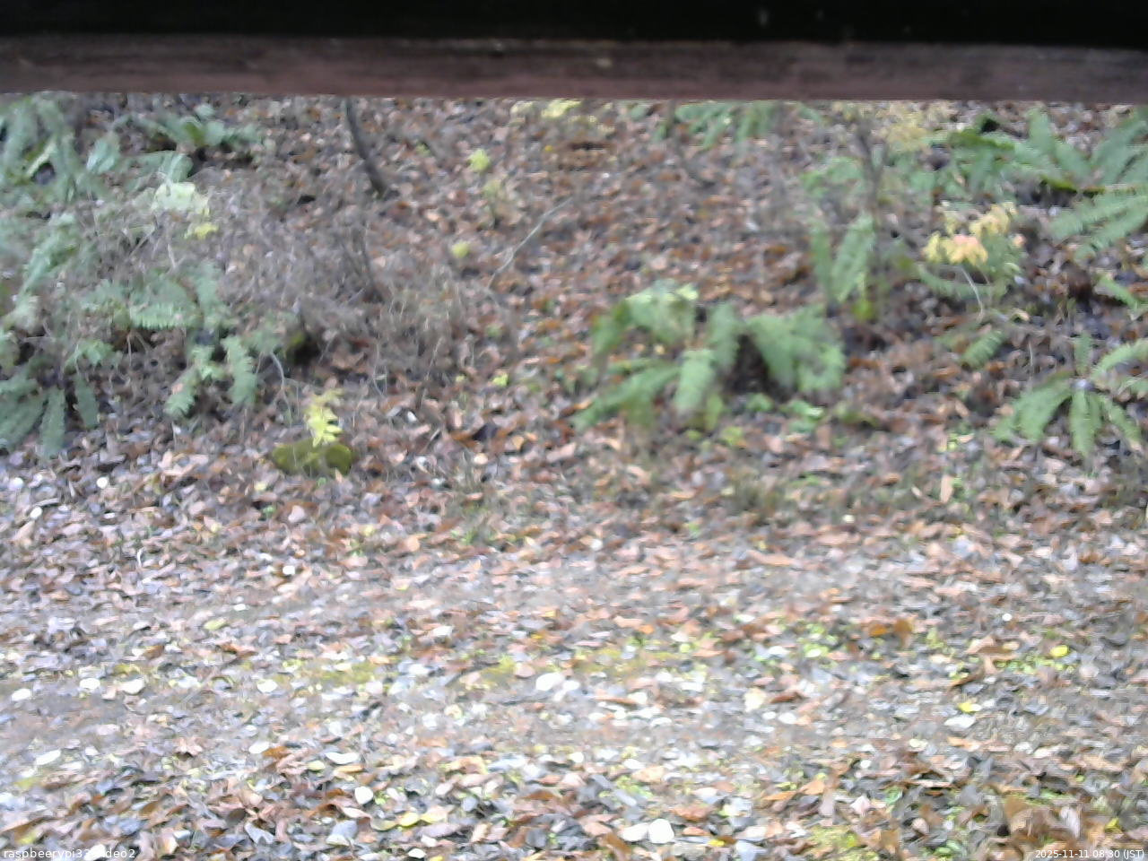 長野県菅平高原 ゆたか山荘 南側 2025/11/11 08:30