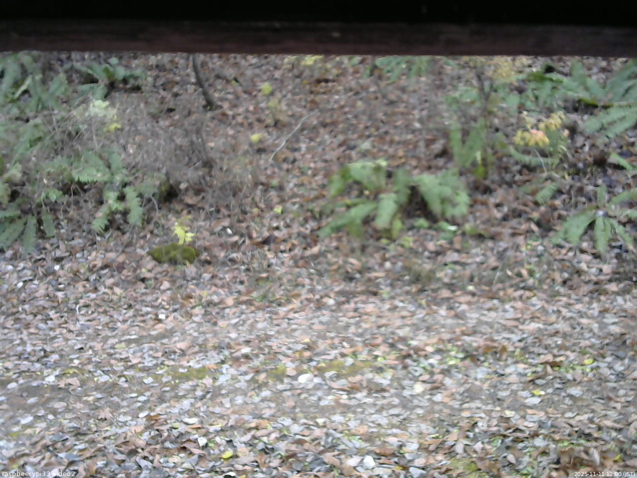 長野県菅平高原 ゆたか山荘 南側 2025/11/11 12:00
