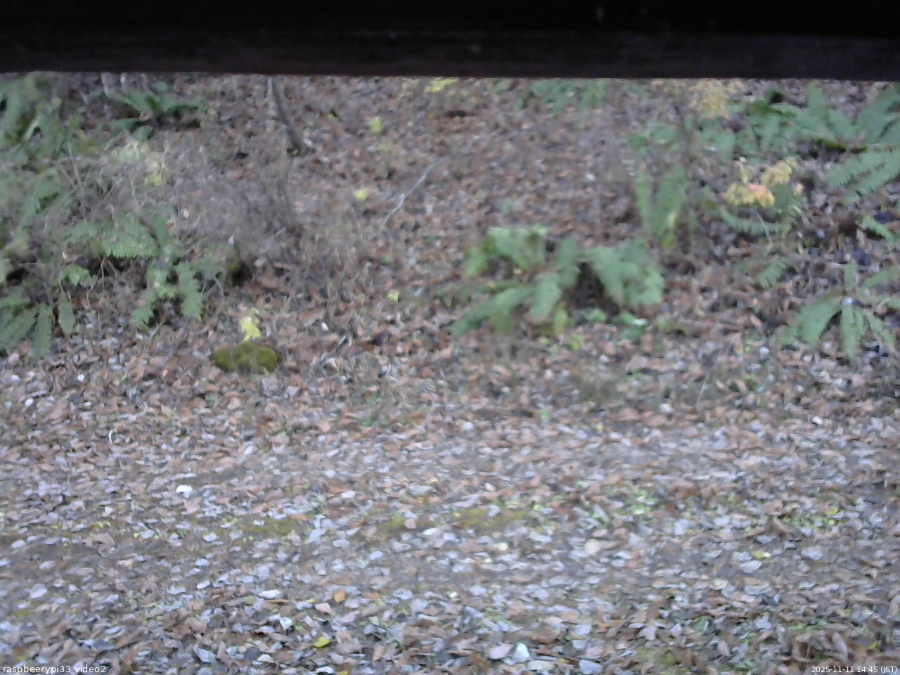 長野県菅平高原 ゆたか山荘 南側 2025/11/11 14:45