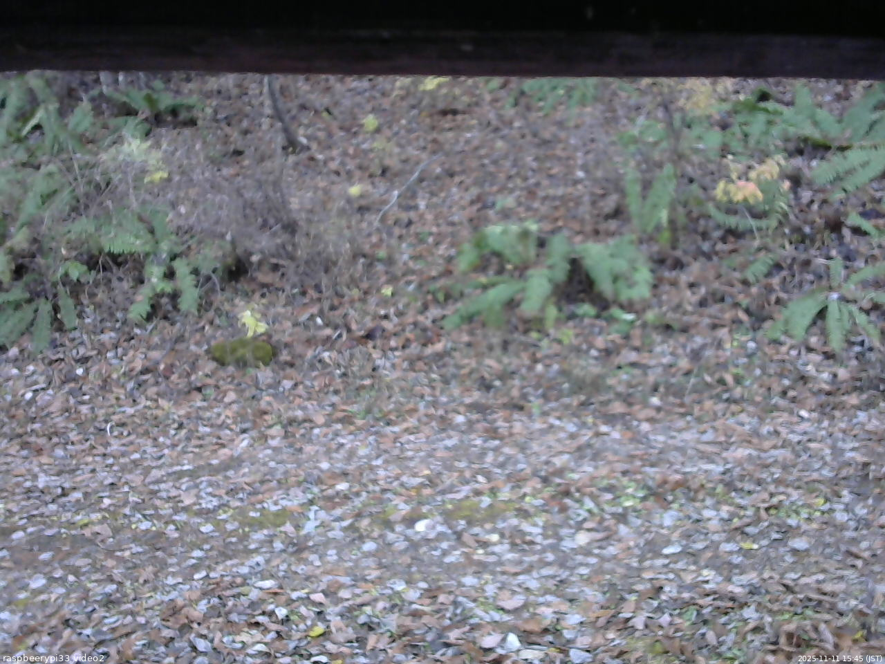 長野県菅平高原 ゆたか山荘 南側 2025/11/11 15:45