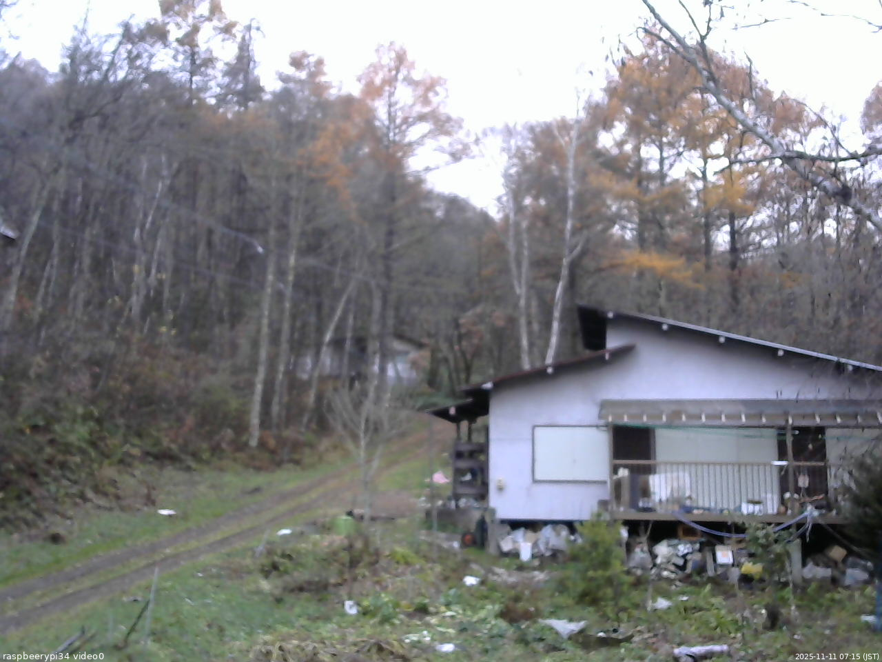 長野県菅平高原 ゆたか山荘 西側(坂上) 2025/11/11 07:15