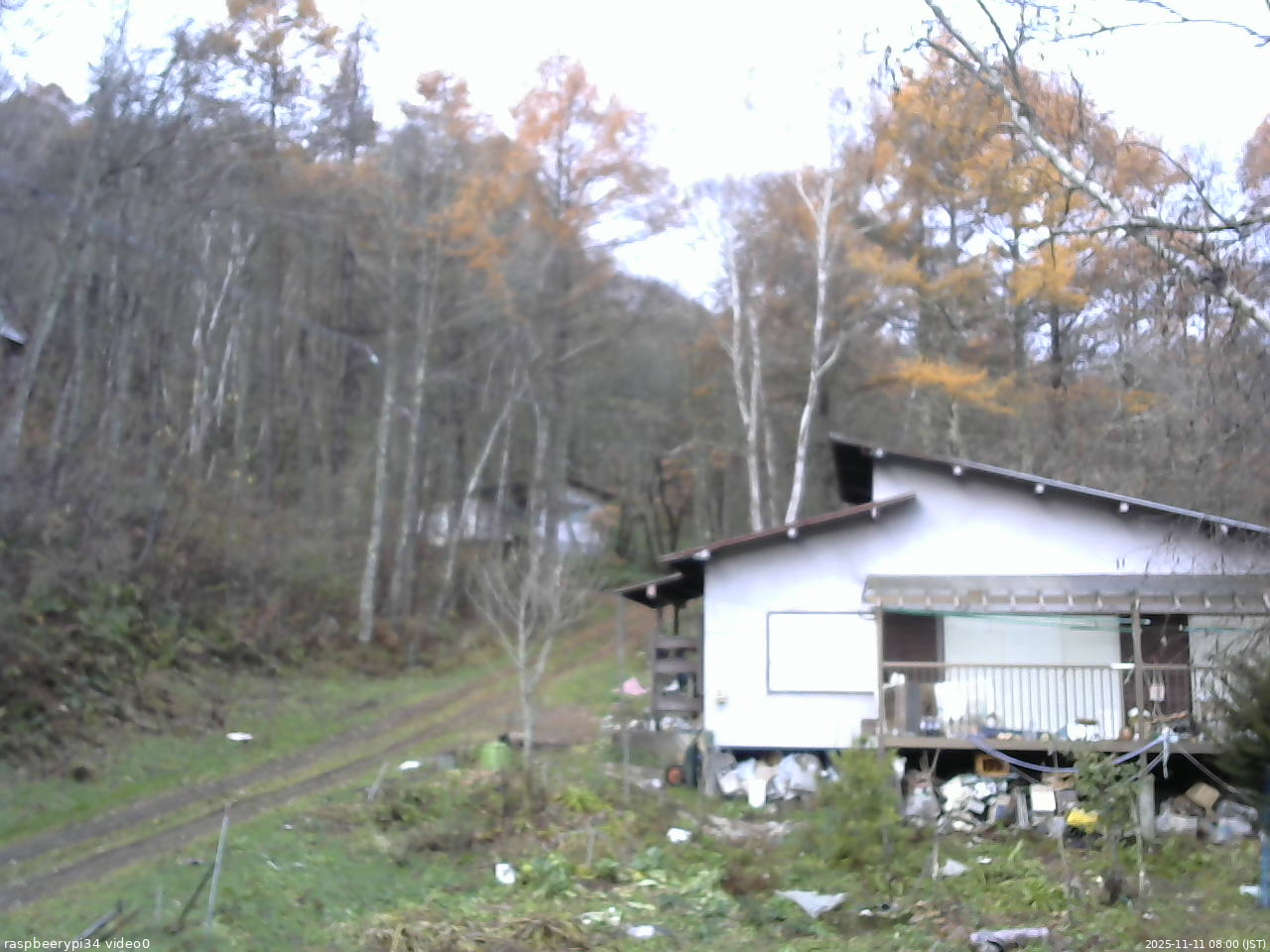 長野県菅平高原 ゆたか山荘 西側(坂上) 2025/11/11 08:00