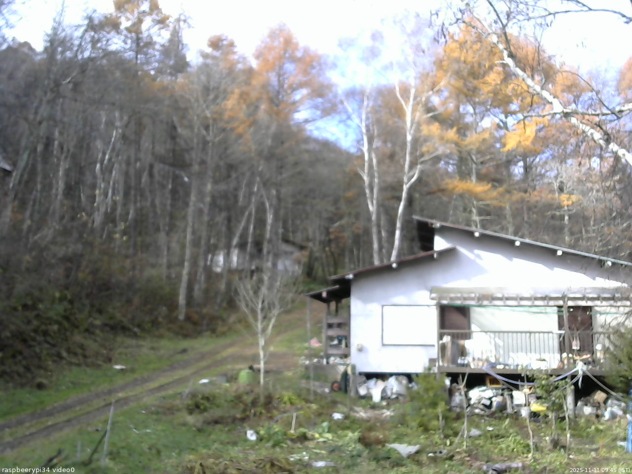 長野県菅平高原 ゆたか山荘 西側(坂上) 2025/11/11 09:45