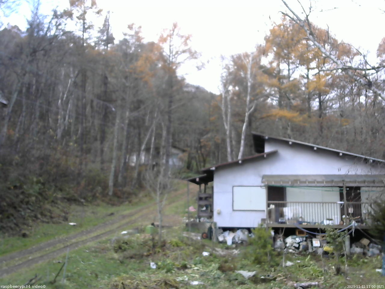 長野県菅平高原 ゆたか山荘 西側(坂上) 2025/11/11 11:00