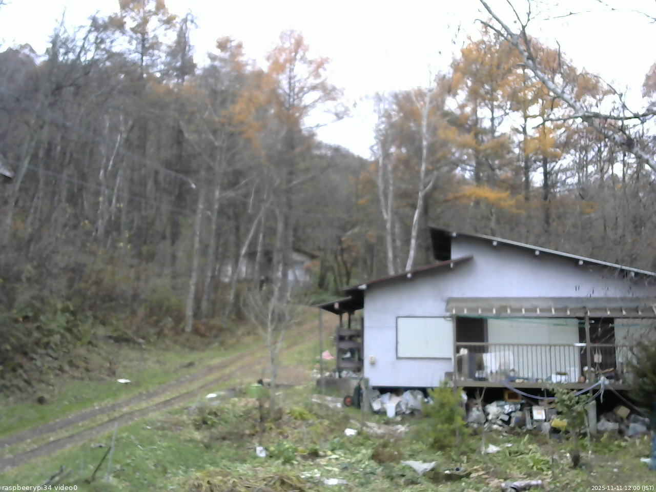 長野県菅平高原 ゆたか山荘 西側(坂上) 2025/11/11 12:00
