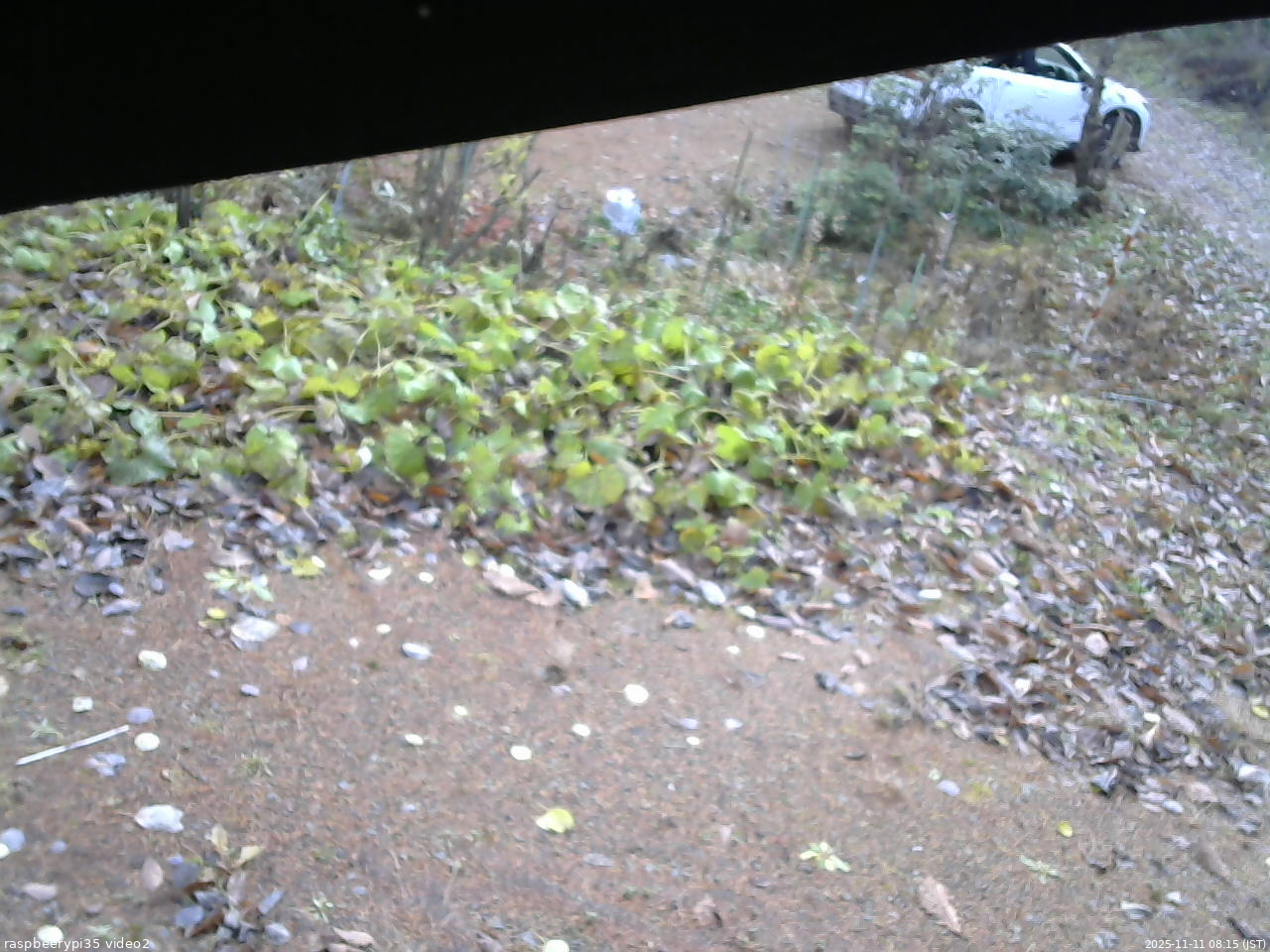 長野県菅平高原 ゆたか山荘 駐車場 2025/11/11 08:15