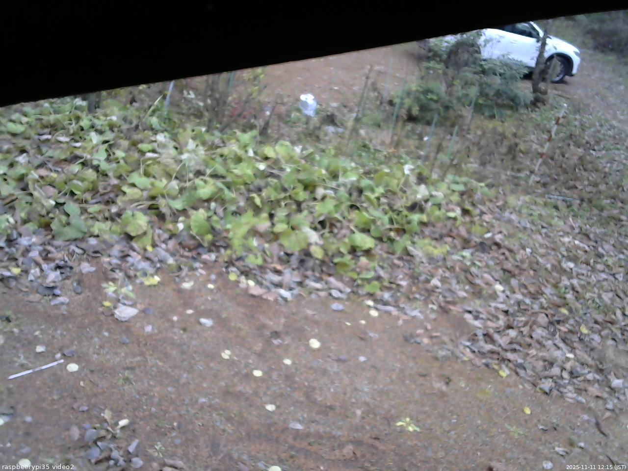 長野県菅平高原 ゆたか山荘 駐車場 2025/11/11 12:15