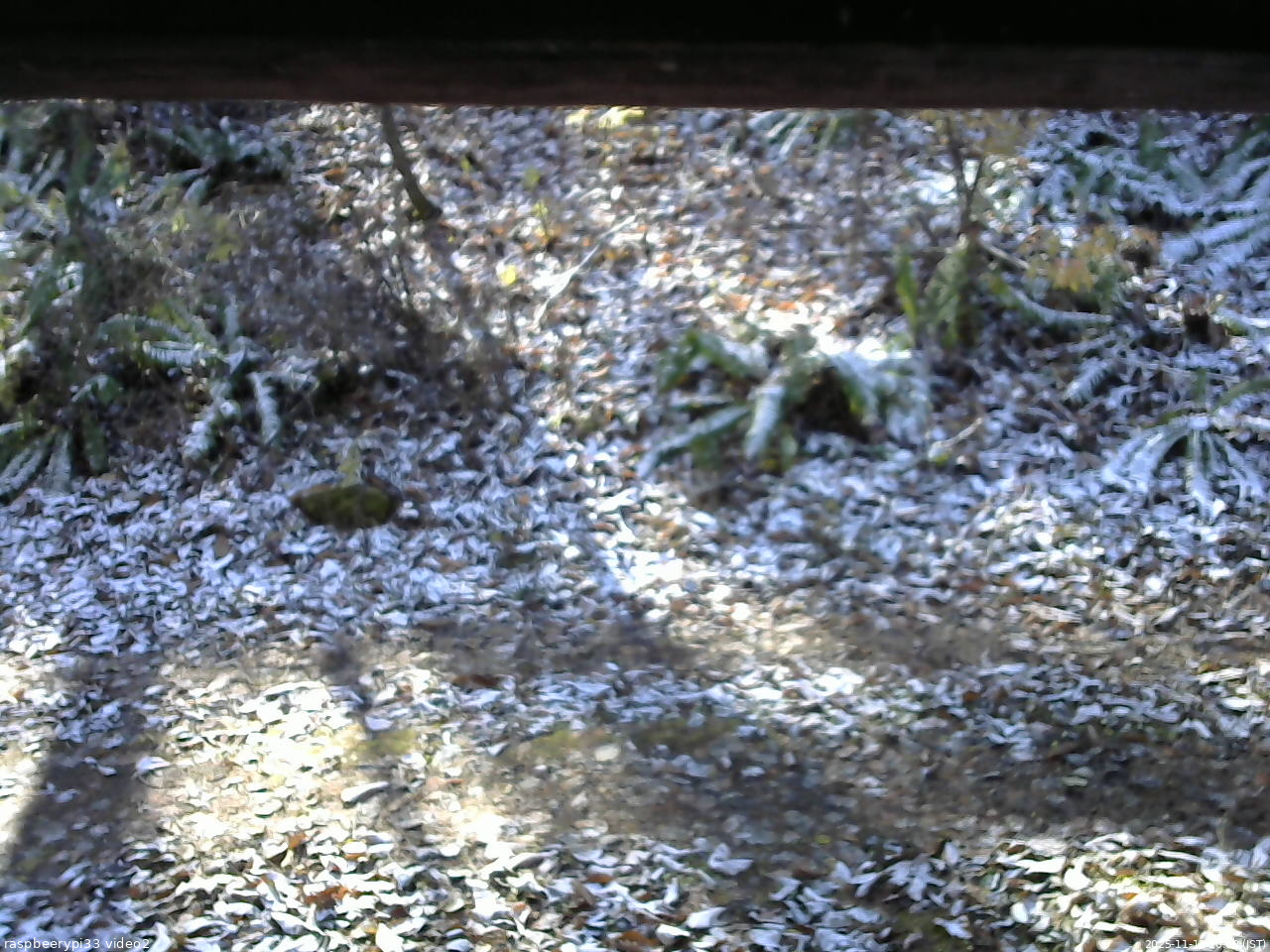 長野県菅平高原 ゆたか山荘 南側 2025/11/12 10:00