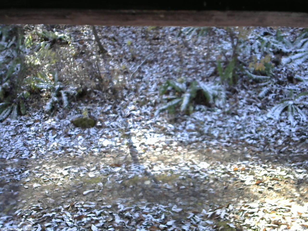 長野県菅平高原 ゆたか山荘 南側 2025/11/12 10:15