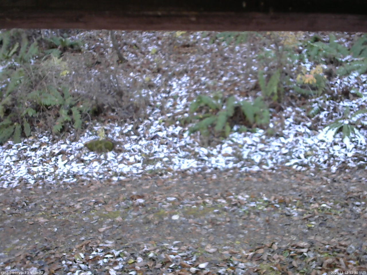 長野県菅平高原 ゆたか山荘 南側 2025/11/12 12:30