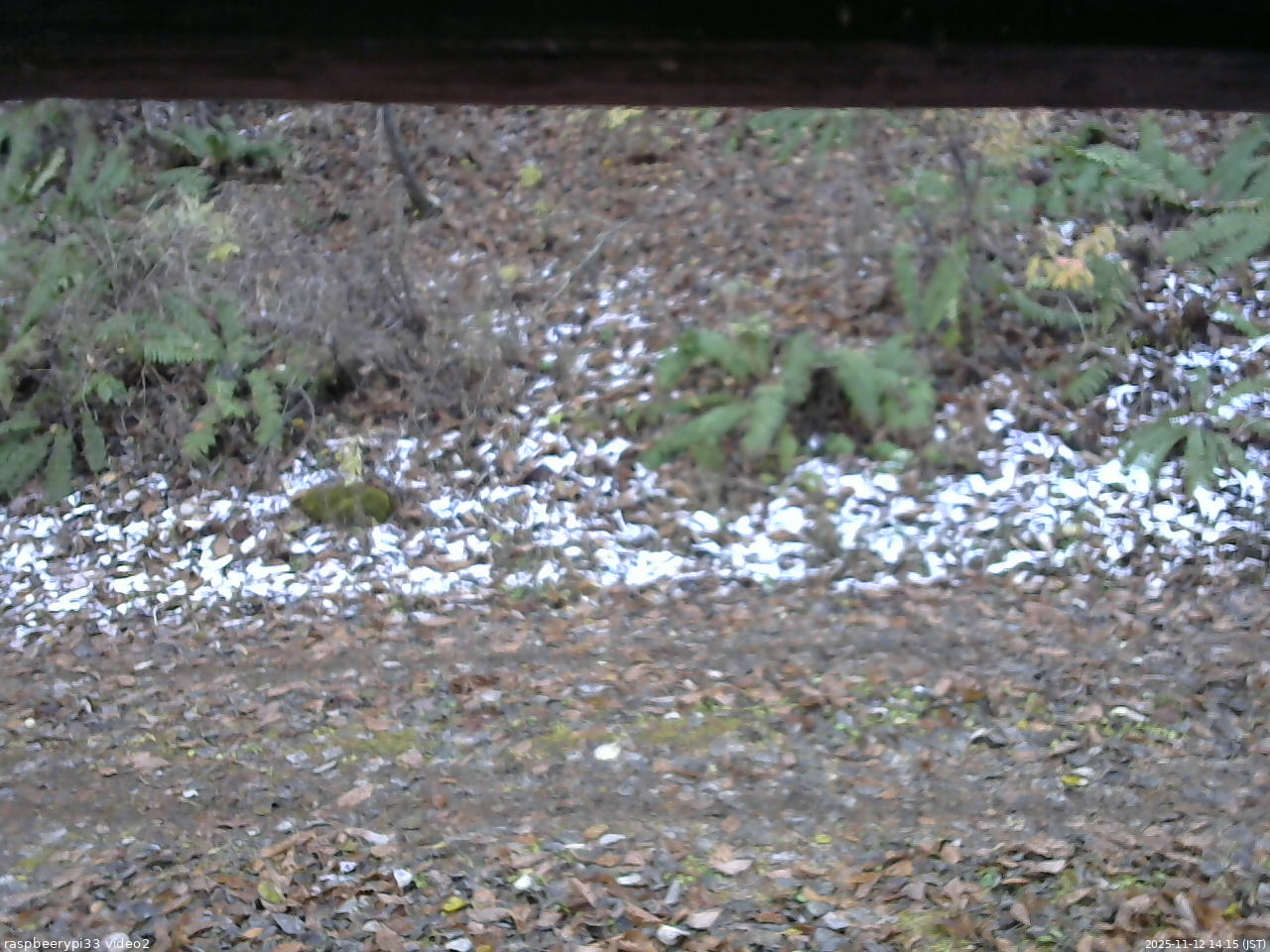 長野県菅平高原 ゆたか山荘 南側 2025/11/12 14:15
