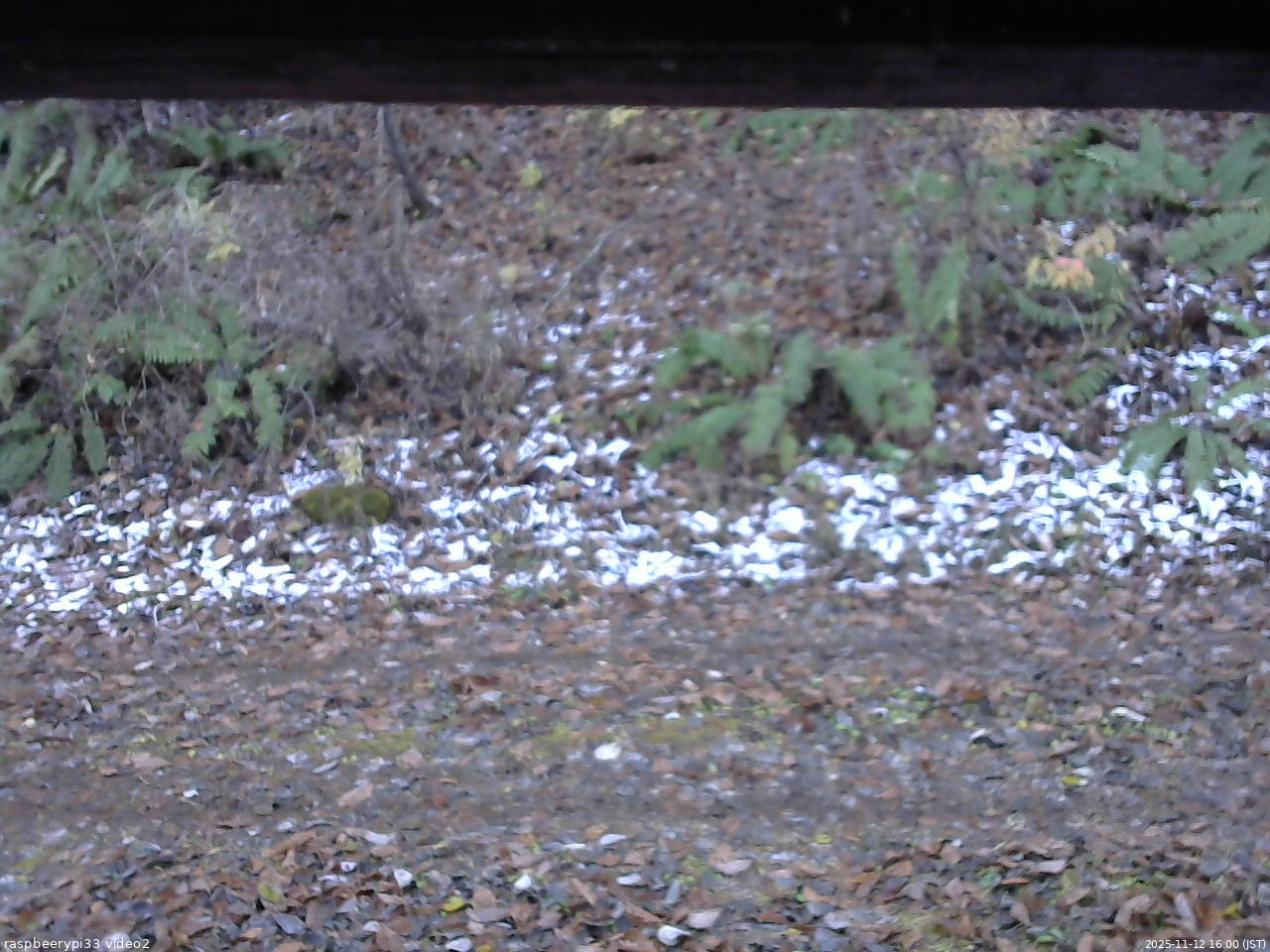 長野県菅平高原 ゆたか山荘 南側 2025/11/12 16:00