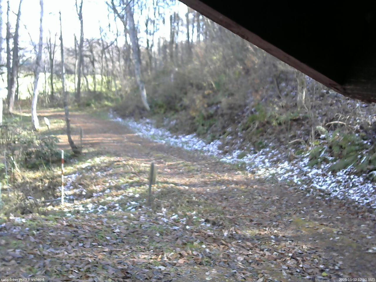 長野県菅平高原 ゆたか山荘 東側(坂下) 2025/11/12 12:30