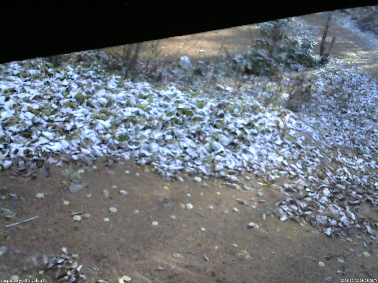 長野県菅平高原 ゆたか山荘 駐車場 2025/11/12 08:15