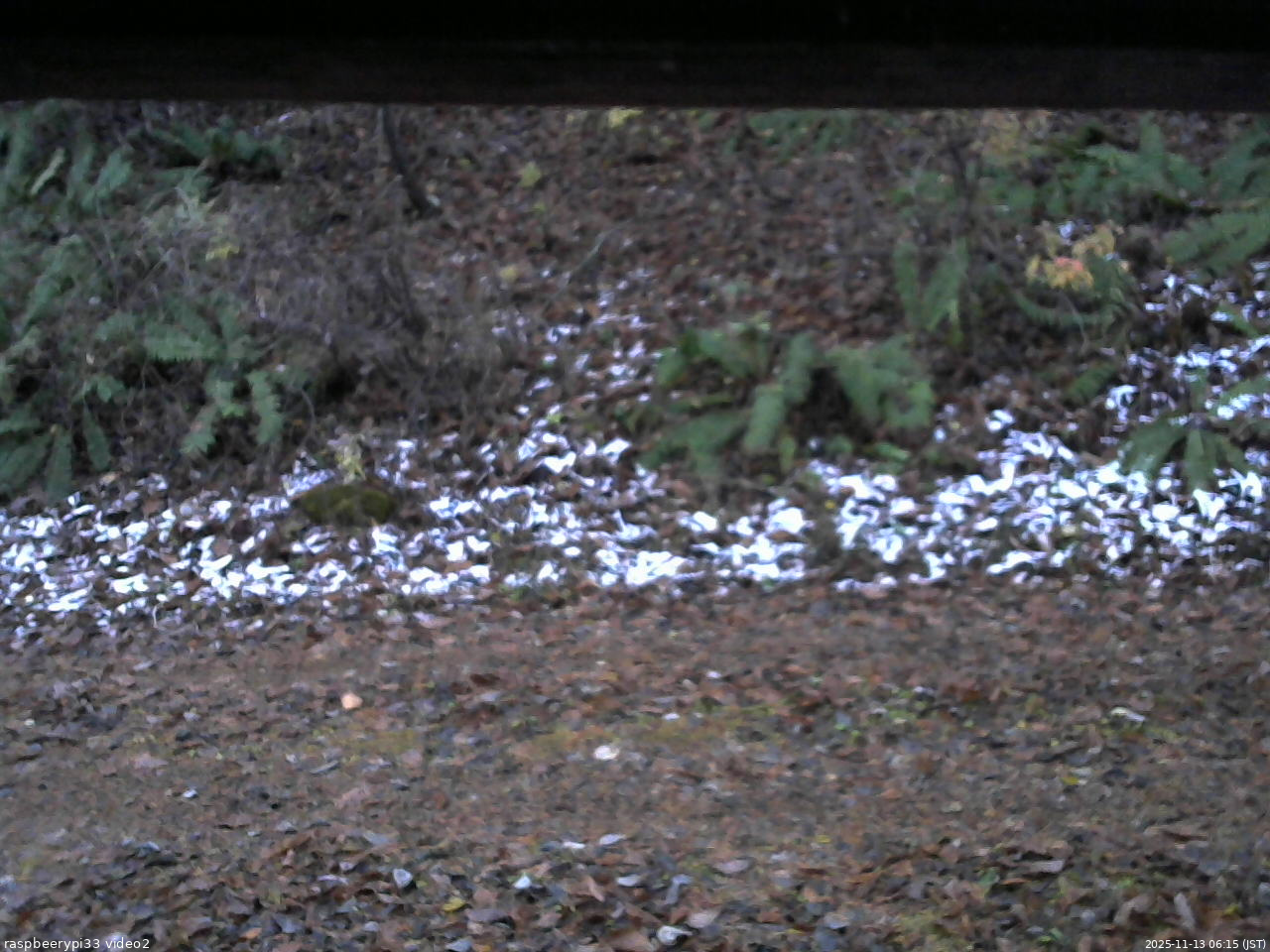 長野県菅平高原 ゆたか山荘 南側 2025/11/13 06:15