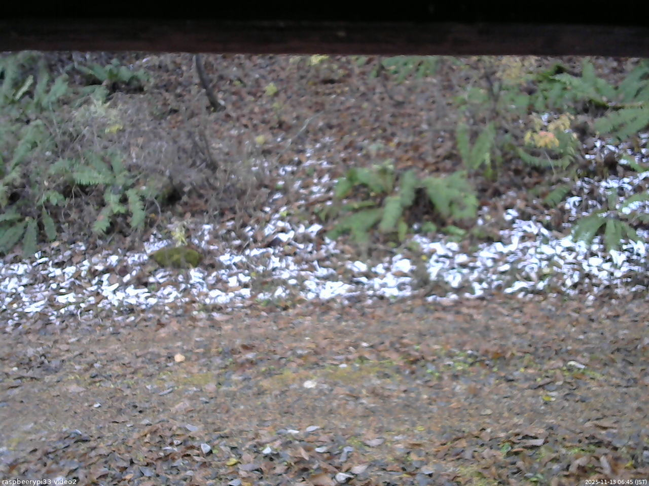 長野県菅平高原 ゆたか山荘 南側 2025/11/13 06:45