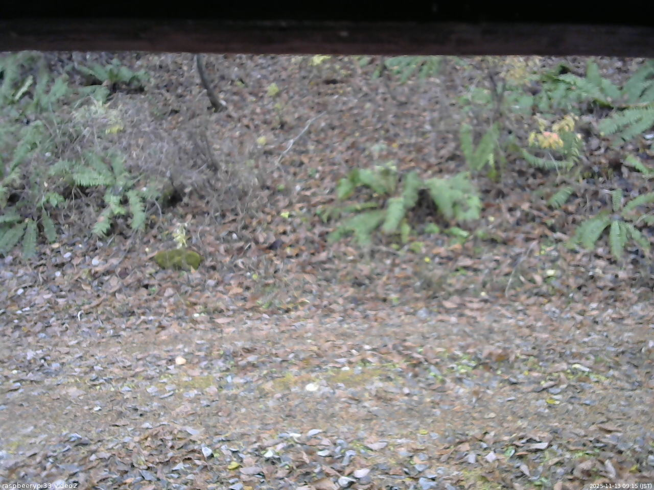 長野県菅平高原 ゆたか山荘 南側 2025/11/13 09:15