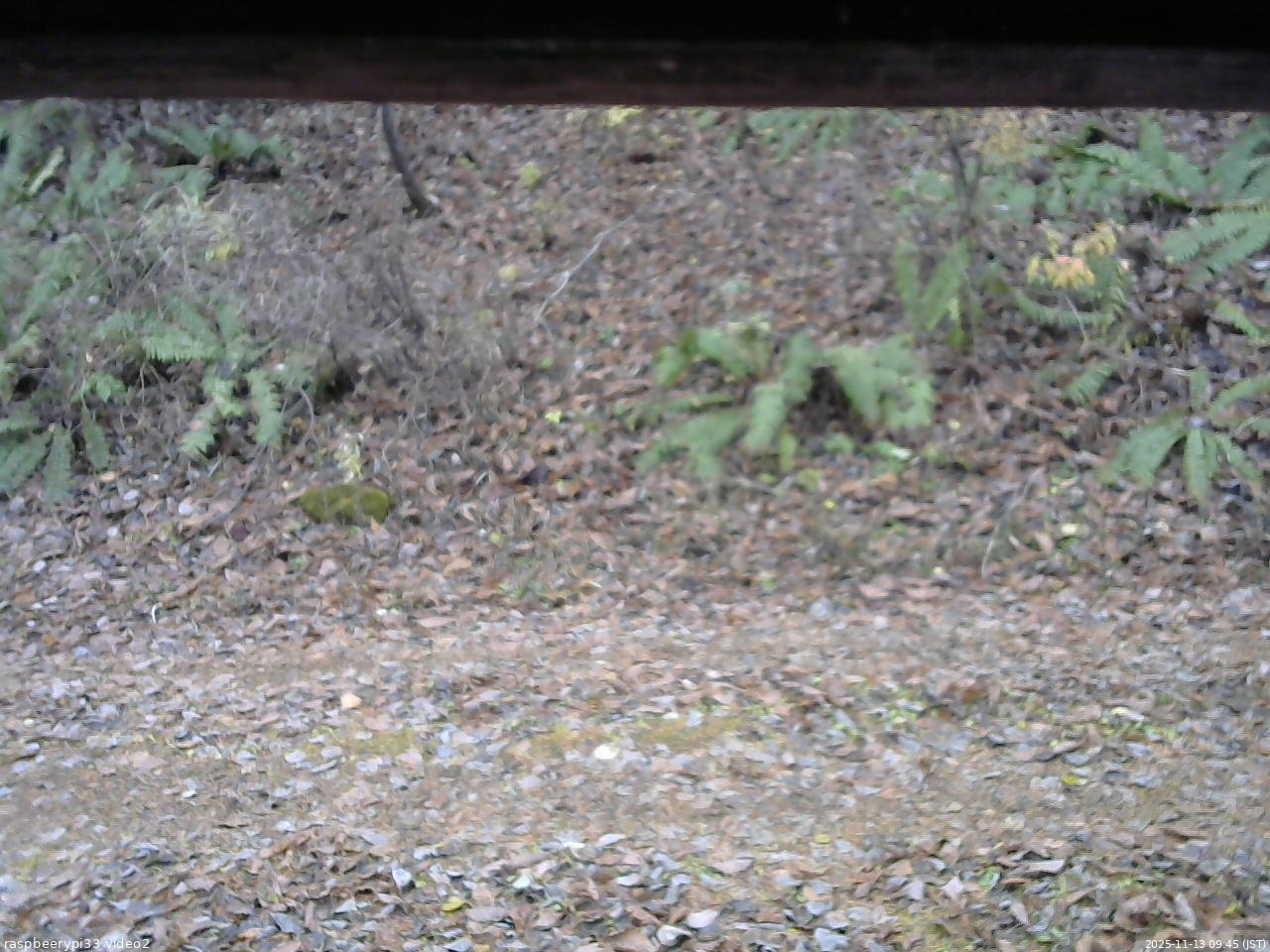 長野県菅平高原 ゆたか山荘 南側 2025/11/13 09:45