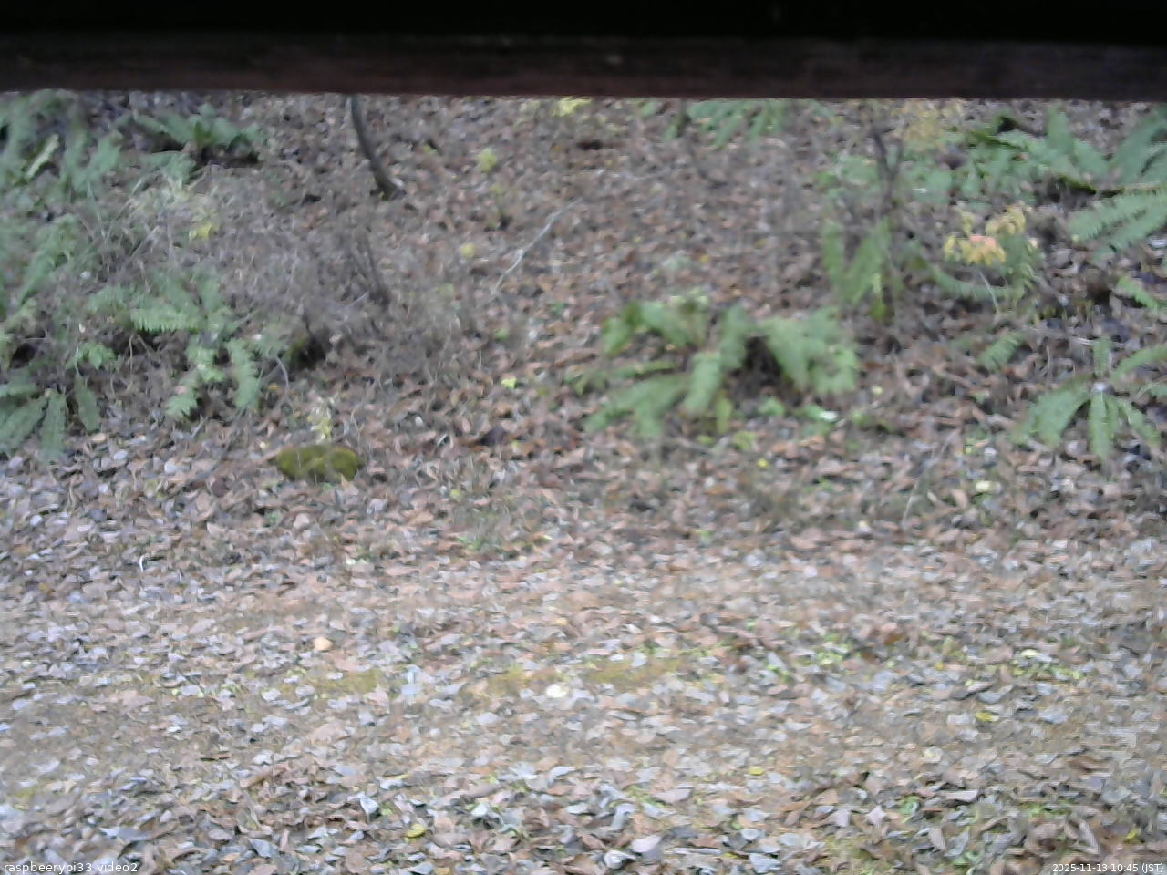 長野県菅平高原 ゆたか山荘 南側 2025/11/13 10:45