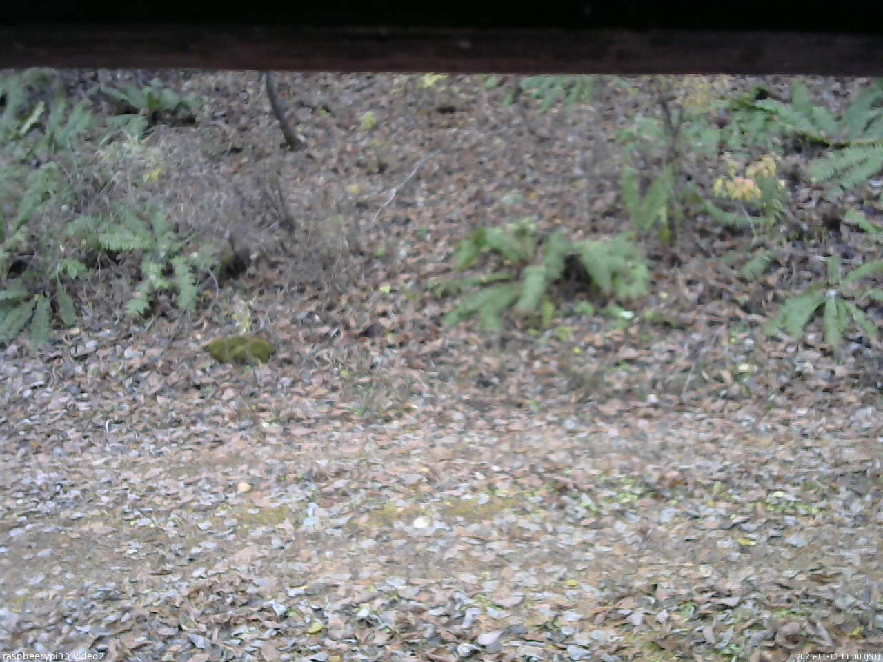 長野県菅平高原 ゆたか山荘 南側 2025/11/13 11:30