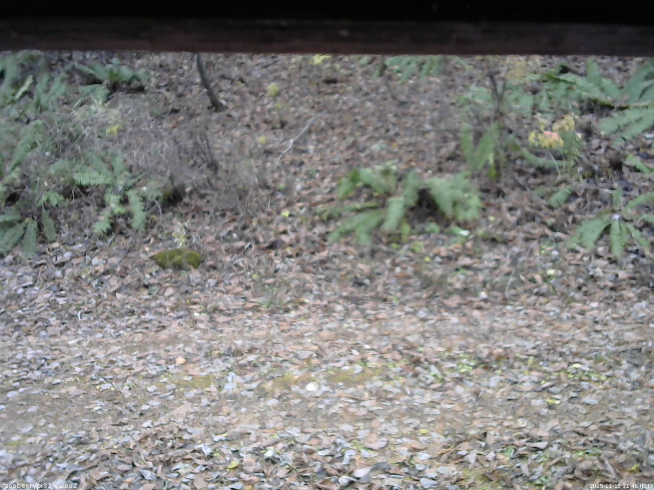 長野県菅平高原 ゆたか山荘 南側 2025/11/13 11:45
