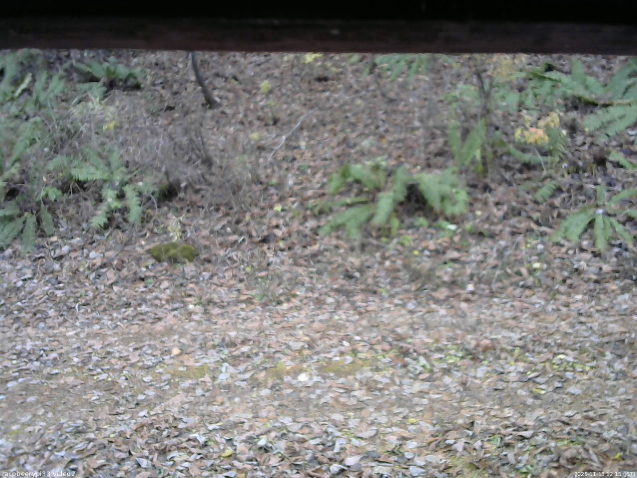 長野県菅平高原 ゆたか山荘 南側 2025/11/13 12:15