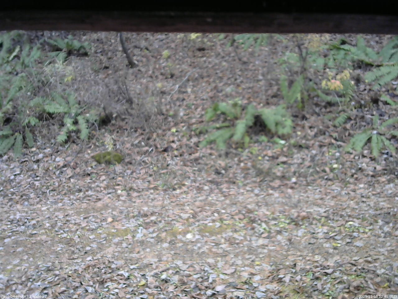 長野県菅平高原 ゆたか山荘 南側 2025/11/13 12:45