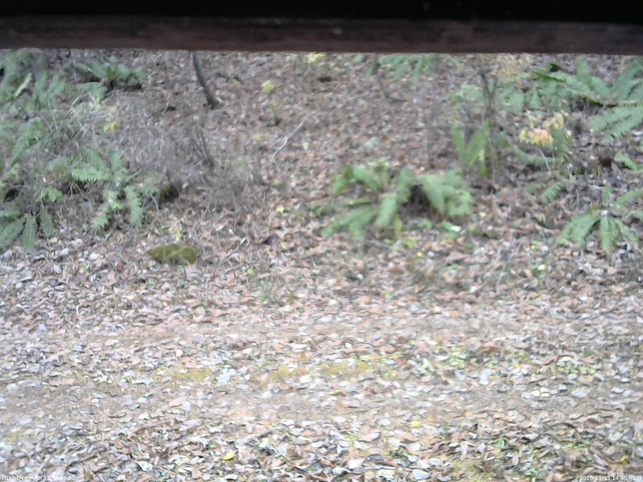 長野県菅平高原 ゆたか山荘 南側 2025/11/13 14:45