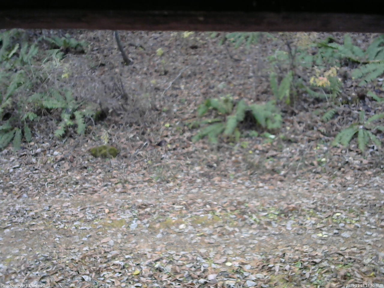 長野県菅平高原 ゆたか山荘 南側 2025/11/13 15:30