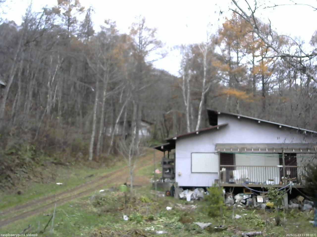 長野県菅平高原 ゆたか山荘 西側(坂上) 2025/11/13 11:00