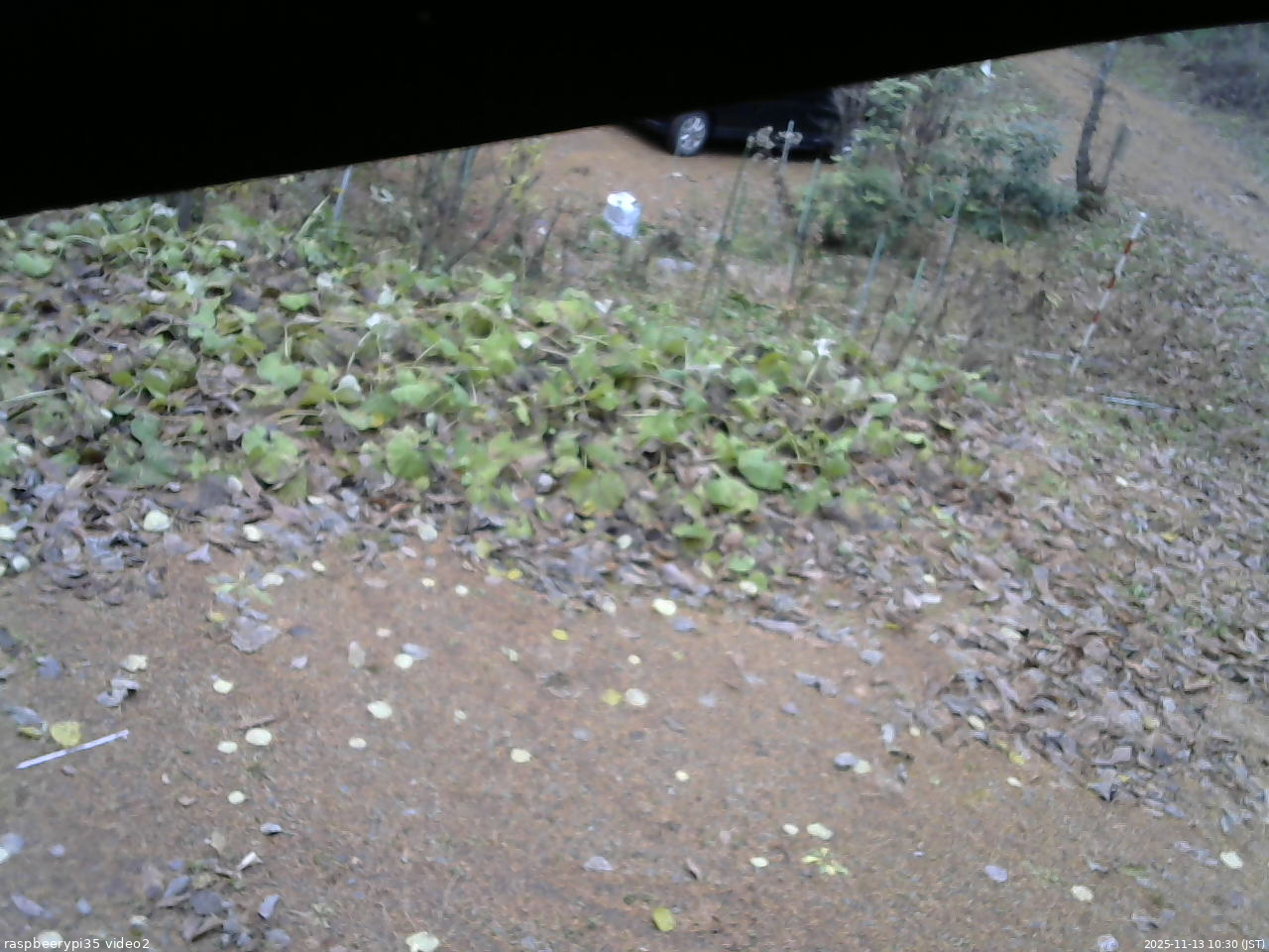 長野県菅平高原 ゆたか山荘 駐車場 2025/11/13 10:30