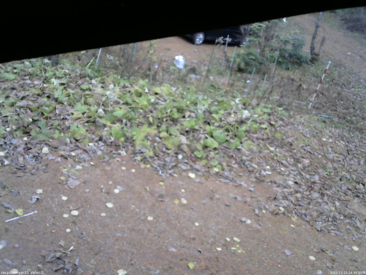 長野県菅平高原 ゆたか山荘 駐車場 2025/11/13 14:30