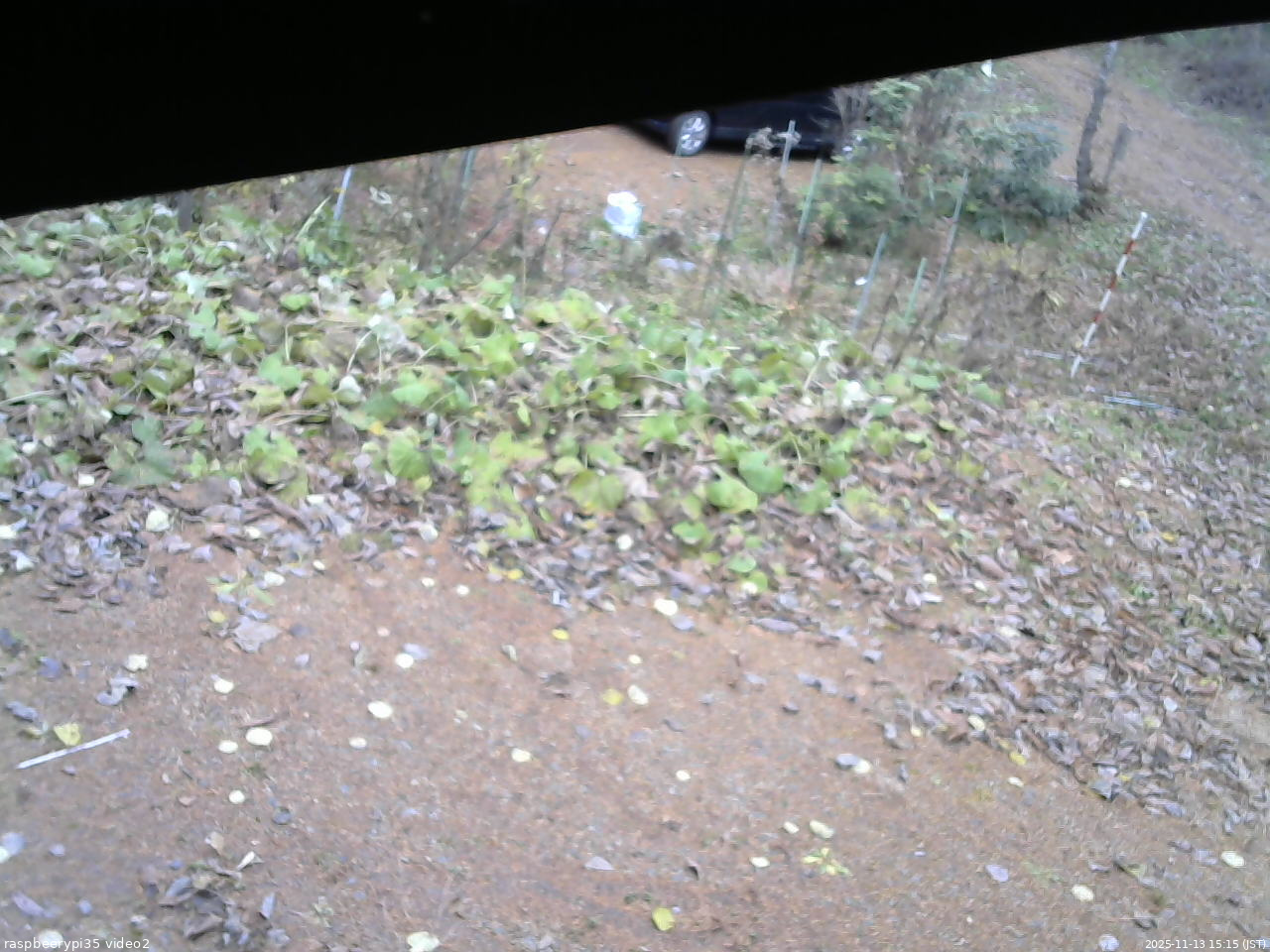 長野県菅平高原 ゆたか山荘 駐車場 2025/11/13 15:15