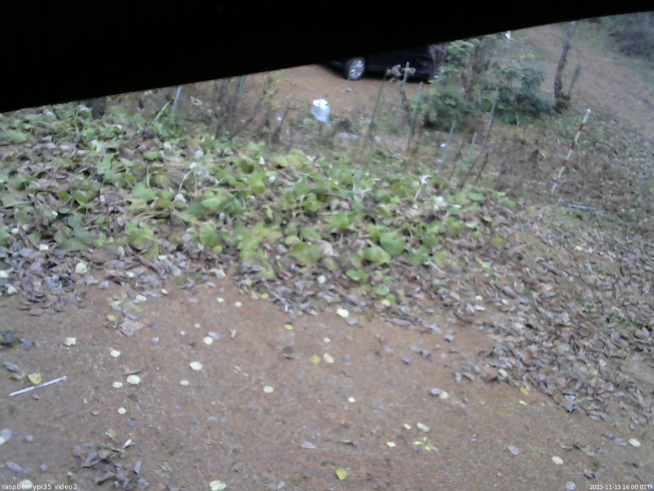 長野県菅平高原 ゆたか山荘 駐車場 2025/11/13 16:00