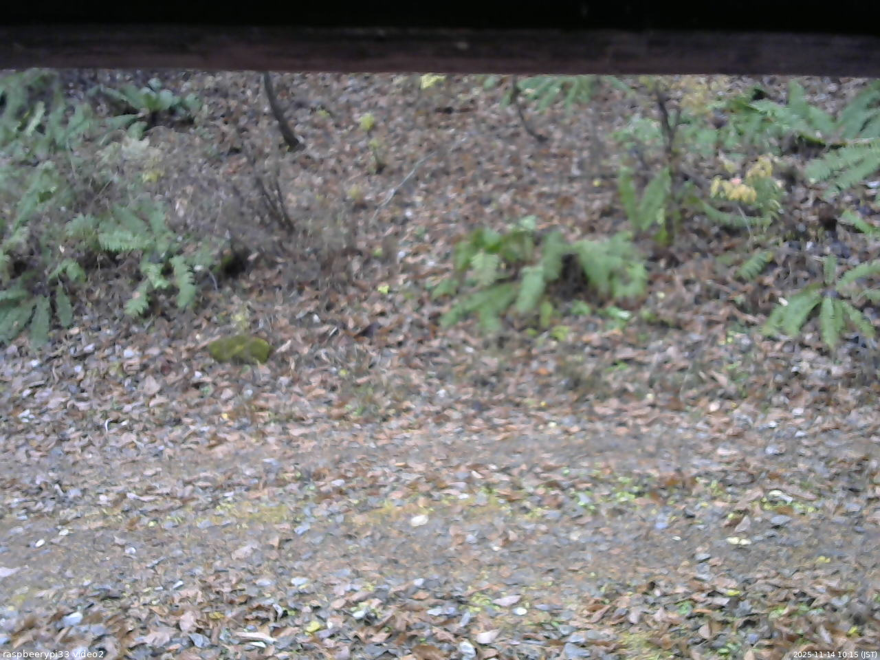 長野県菅平高原 ゆたか山荘 南側 2025/11/14 10:15