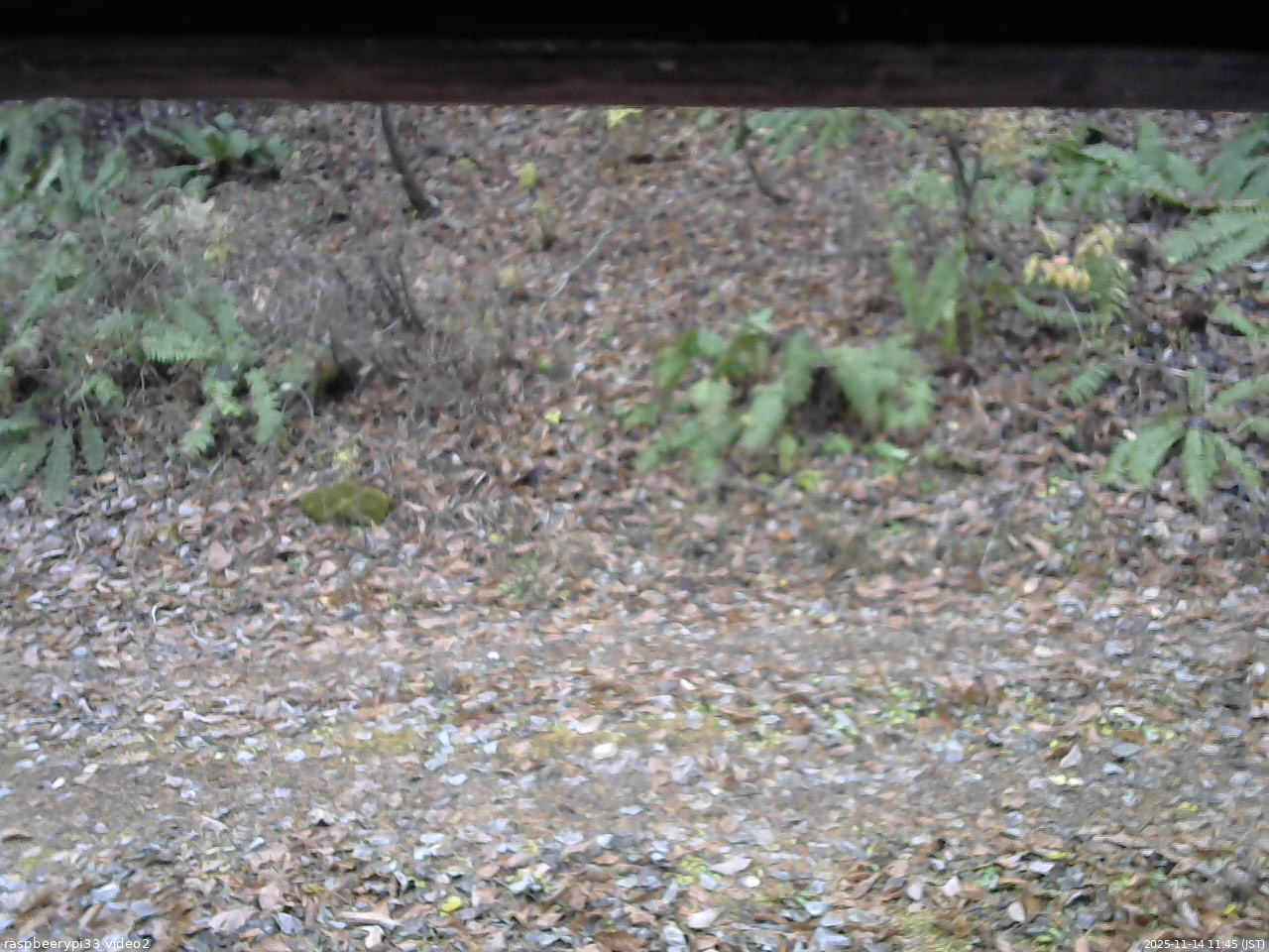 長野県菅平高原 ゆたか山荘 南側 2025/11/14 11:45