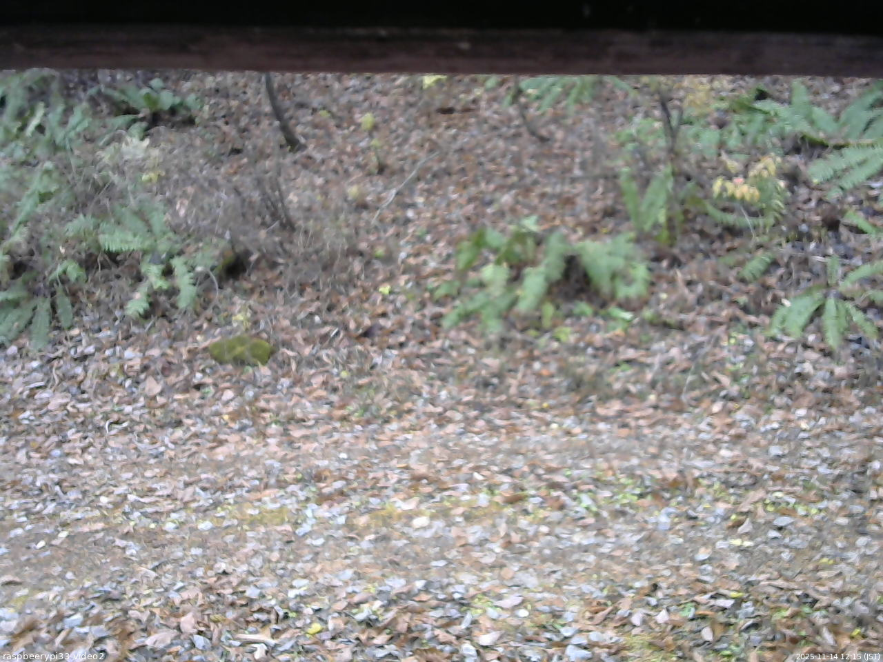 長野県菅平高原 ゆたか山荘 南側 2025/11/14 12:15