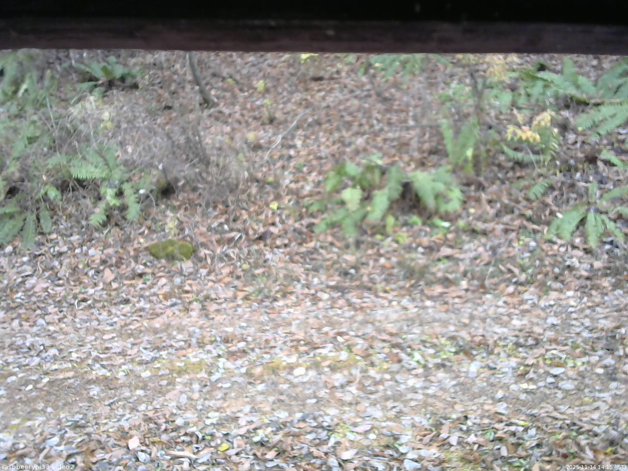 長野県菅平高原 ゆたか山荘 南側 2025/11/14 14:15