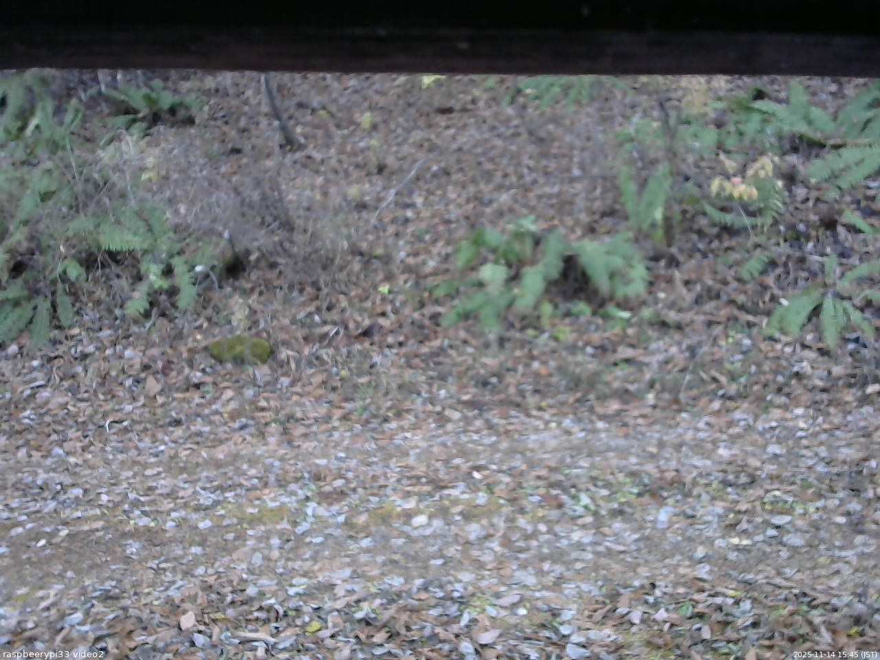 長野県菅平高原 ゆたか山荘 南側 2025/11/14 15:45