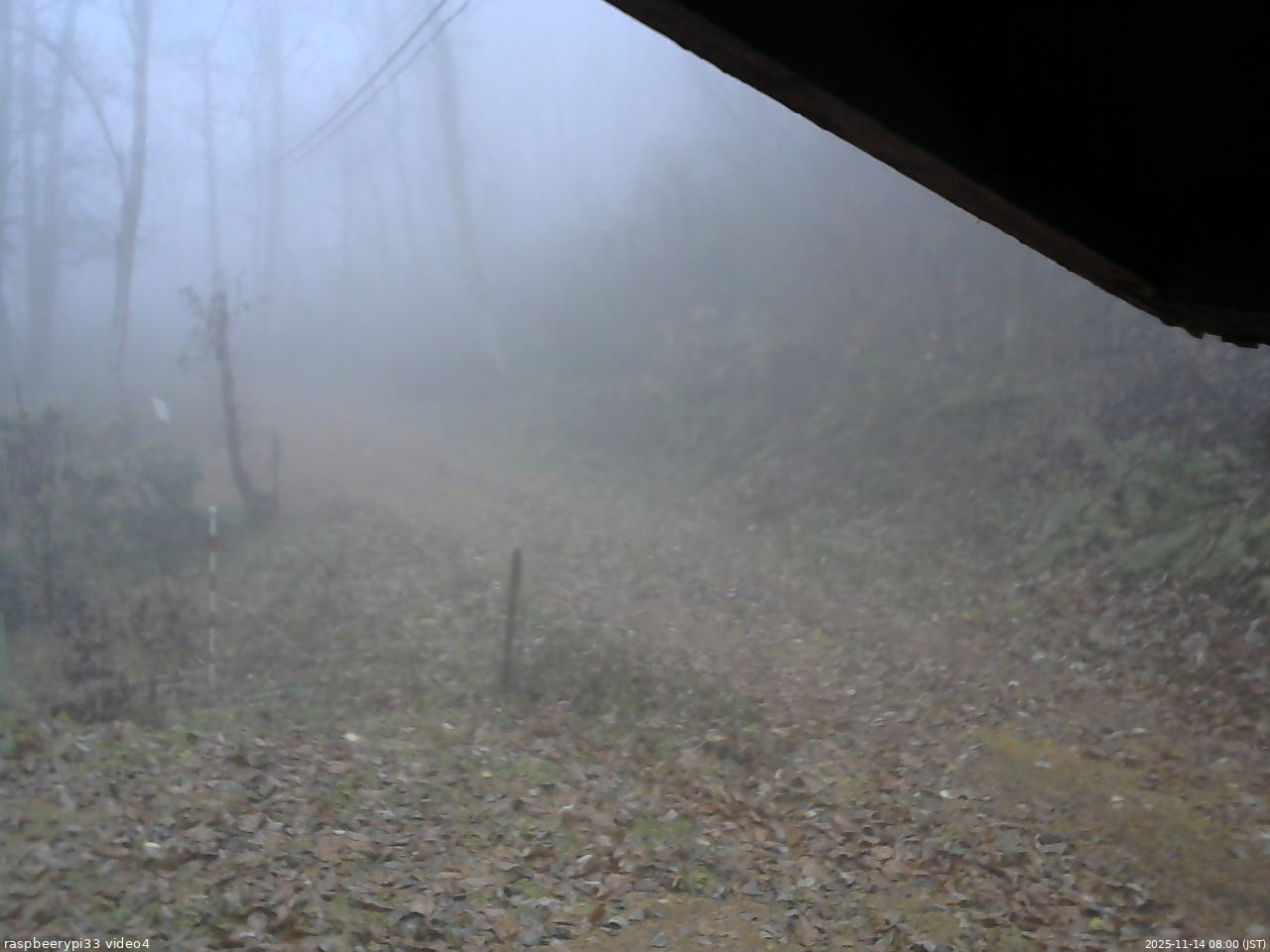 長野県菅平高原 ゆたか山荘 東側(坂下) 2025/11/14 08:00