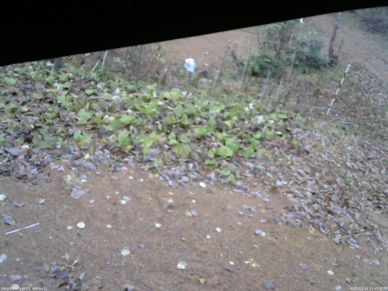 長野県菅平高原 ゆたか山荘 駐車場 2025/11/14 13:45