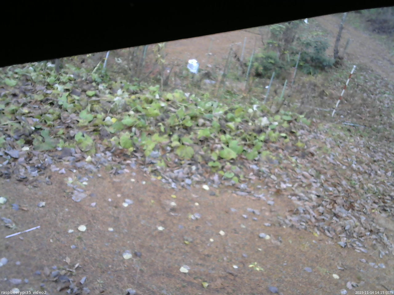 長野県菅平高原 ゆたか山荘 駐車場 2025/11/14 14:15