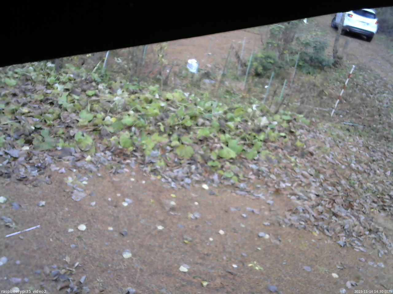 長野県菅平高原 ゆたか山荘 駐車場 2025/11/14 14:30
