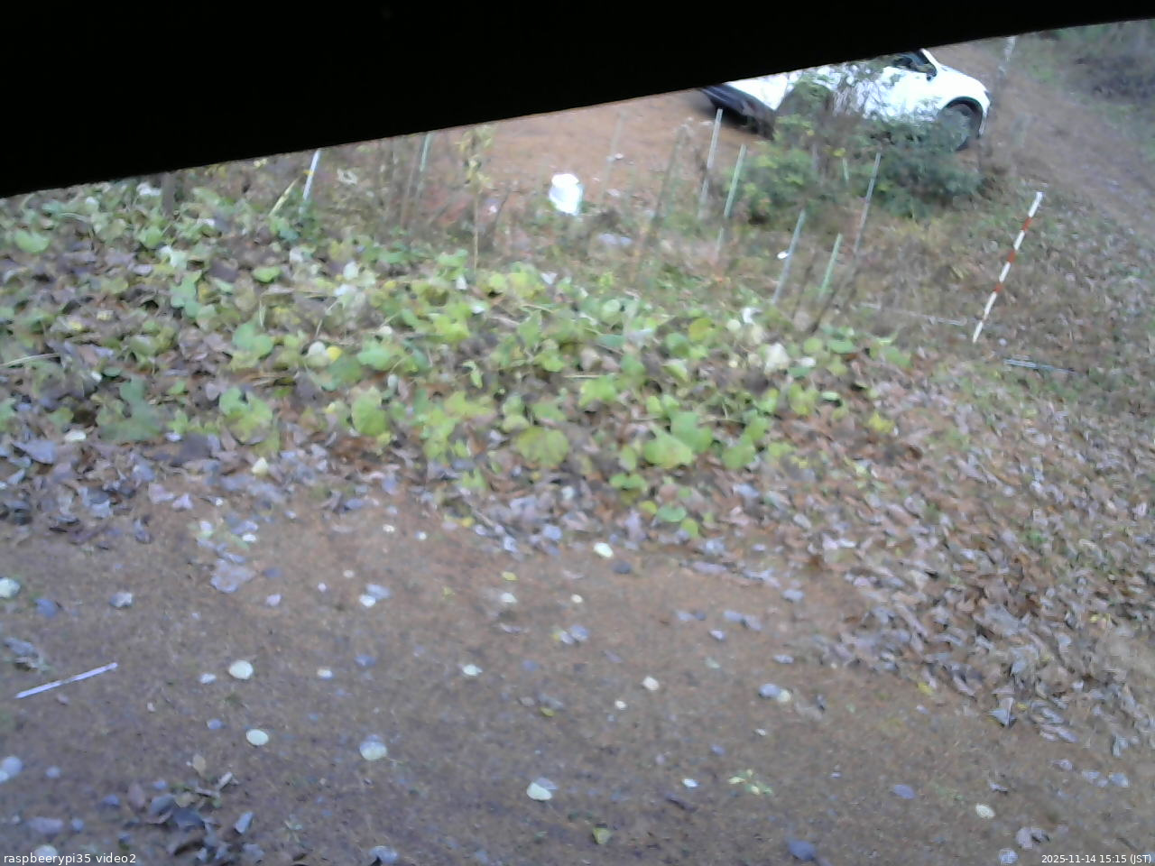長野県菅平高原 ゆたか山荘 駐車場 2025/11/14 15:15