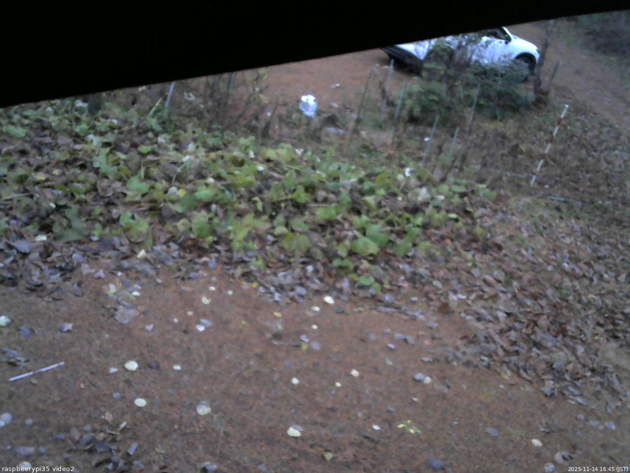長野県菅平高原 ゆたか山荘 駐車場 2025/11/14 16:45